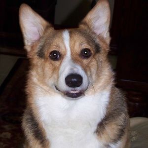 Meet your Posher, Jo ann